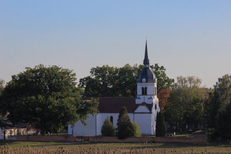 Dorfkirche Schköna über das Feld gesehen