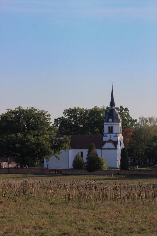 Dorfkirche Schköna über das Feld gesehen, Hochformat