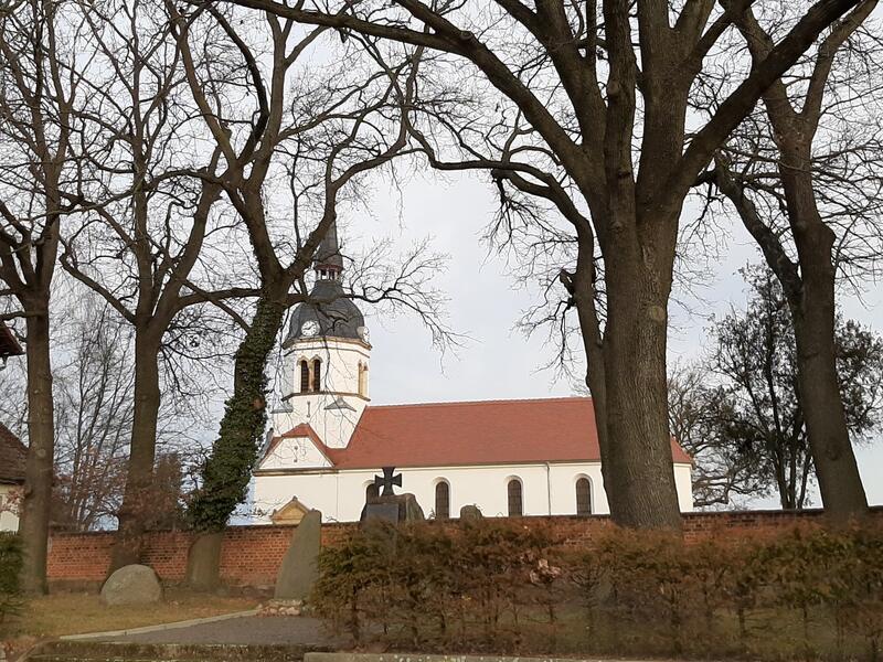 Dorfkirche Schköna zwischen alten Bäumen