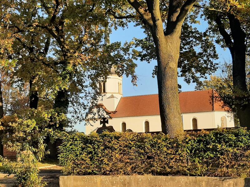Dorfkirche hinter Hecke und Eichen