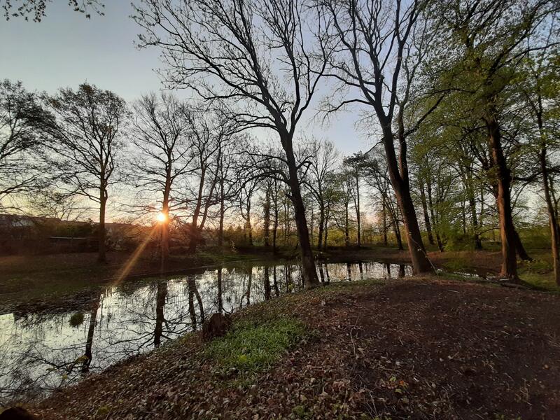 Sonnenaufgang am Parkteich