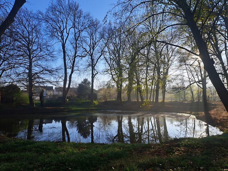 Parkteich im Schlosspark an einem Aprilmorgen, April 2026