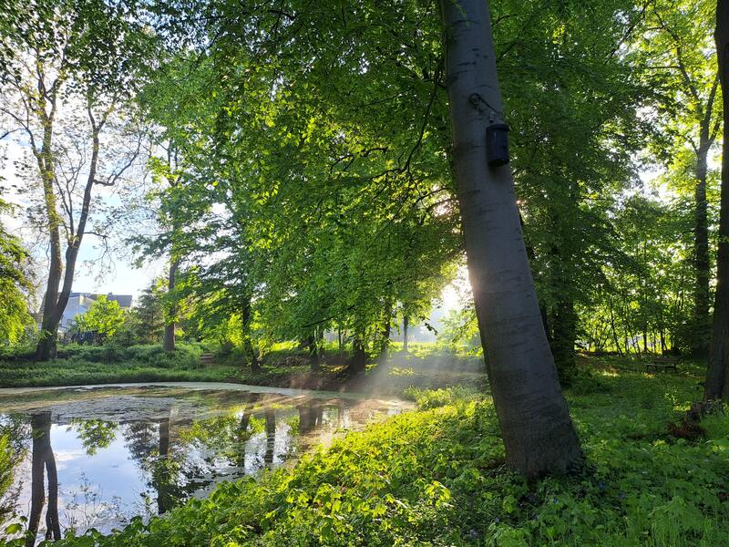 Frühlingsmorgen im Schlosspark