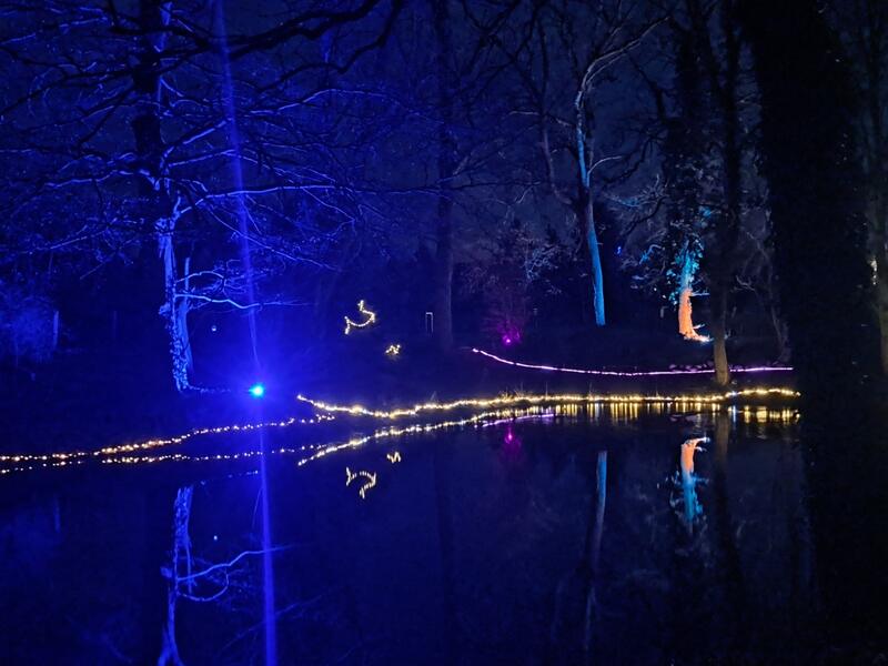 Lichtspiel am Parkteich