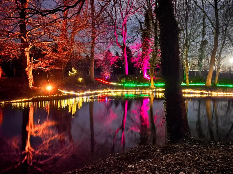 Farbig beleuchtete Bäume am Parkteich