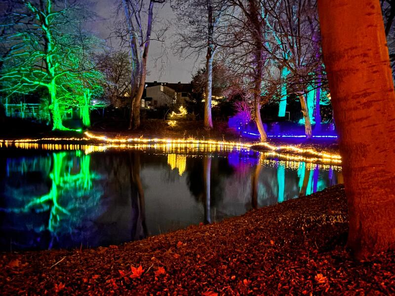 Grün und blau beleuchtete Bäume spiegeln sich im Teich