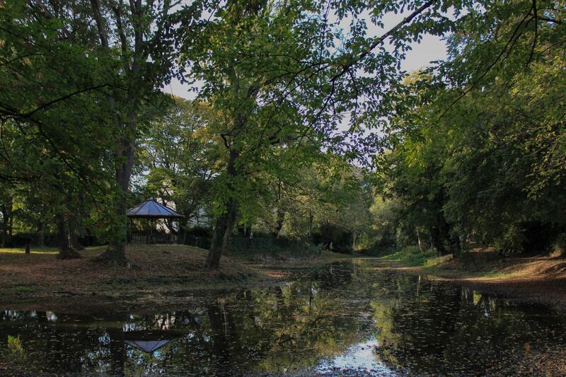 Spiegelung der Bäume im Parkteich