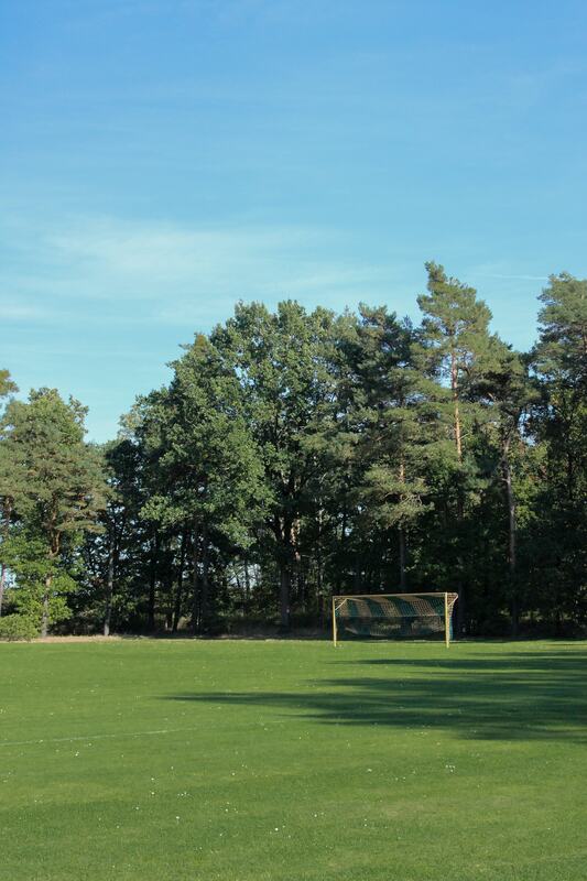 Blick über den Sportplatz auf das Tor und die Bäume dahinter
