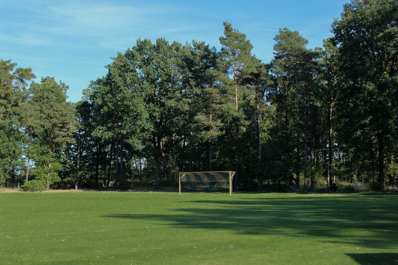 Sportplatz mit Fußballtor vor dem Waldrand