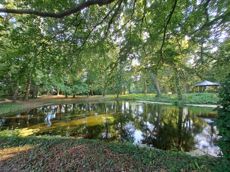 Parkteich unter alten Bäumen