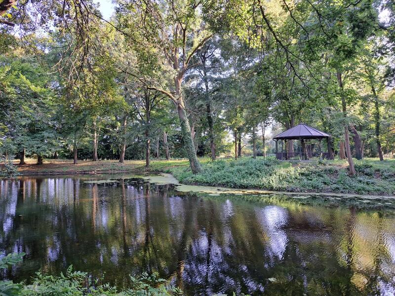 Teich und Pavillon im Sommer