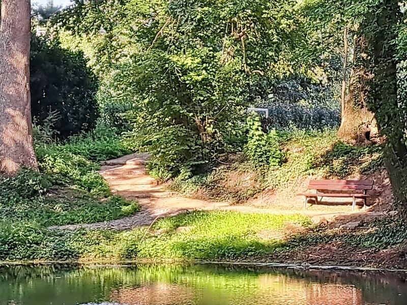 Weg mit Bank am Parkteich