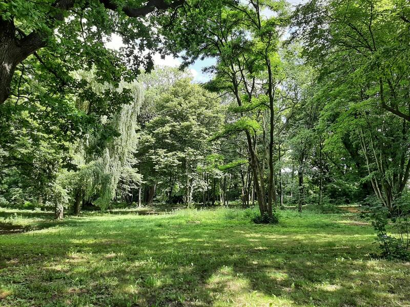 Sommergrün im Park
