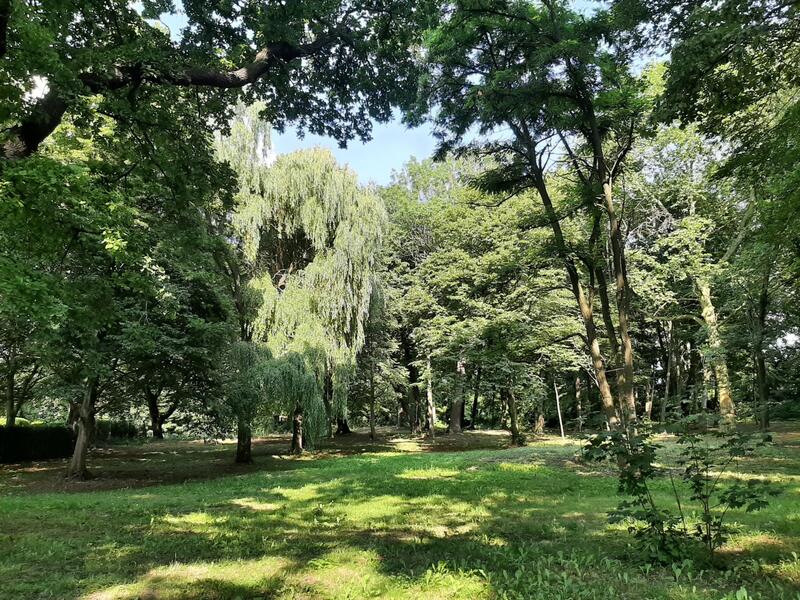 Sommernachmittag im Park