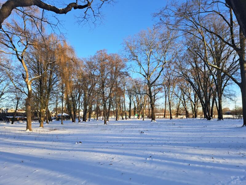 Verschneiter Schlosspark