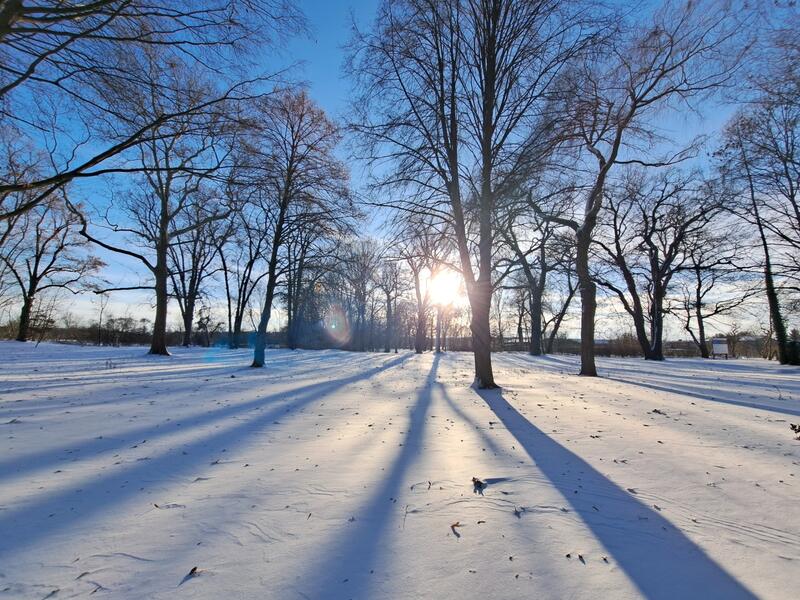 Lange Baumschatten im Schnee