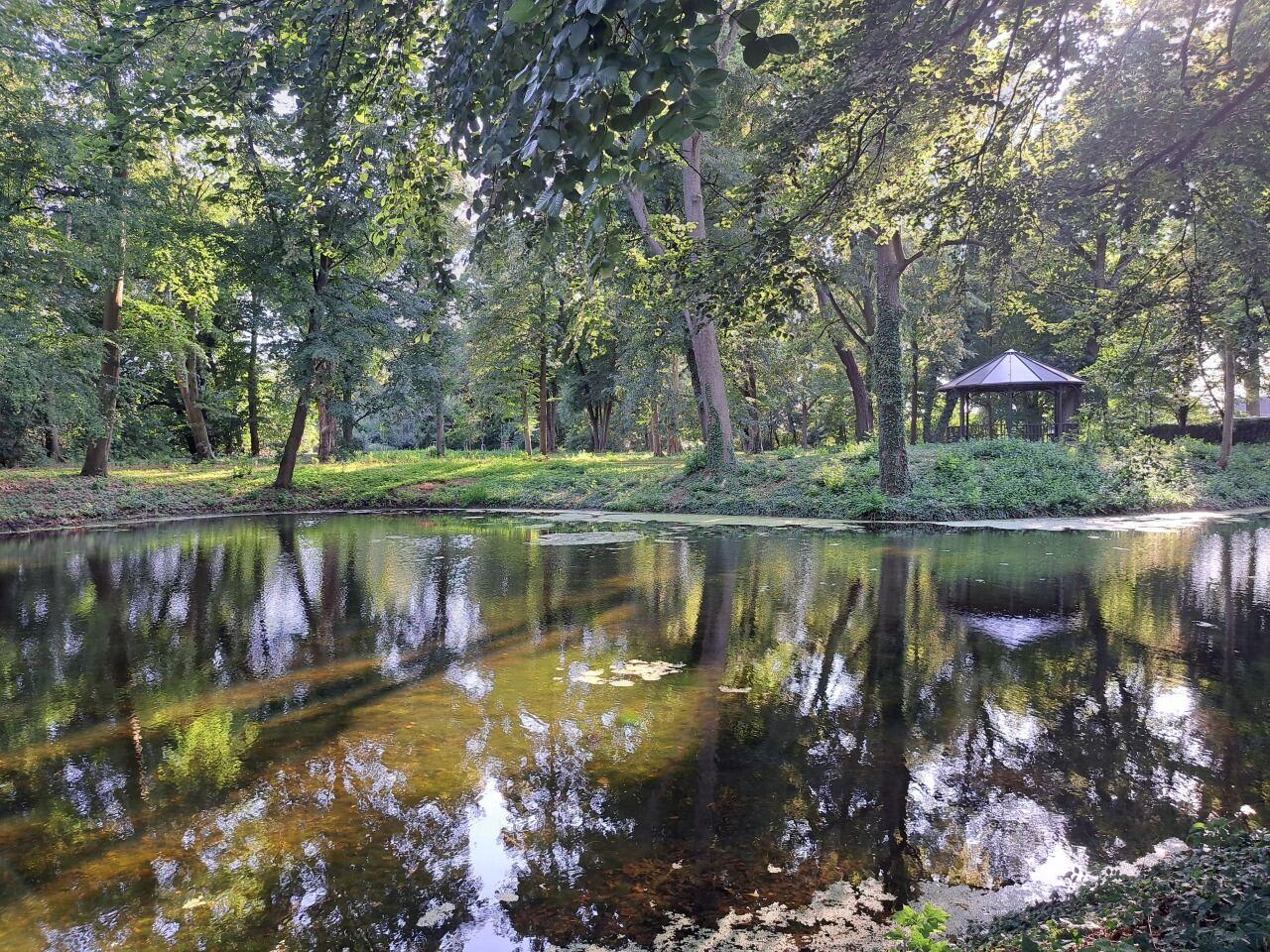 Teich und Pavillon im Schkönaer Schlosspark