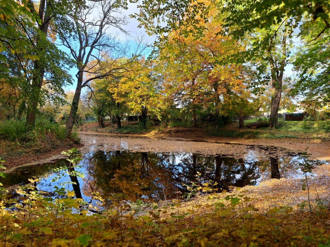 Herbst im Schlosspark