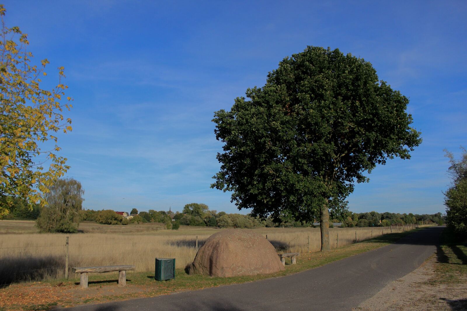 Der Teufelsstein mit der alten Eiche in der Weite der Heide, Oktober 2026